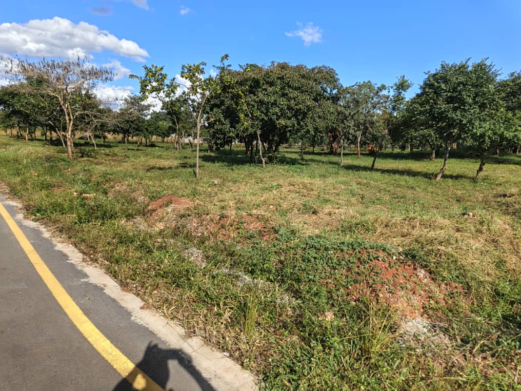 Property Thumbnail